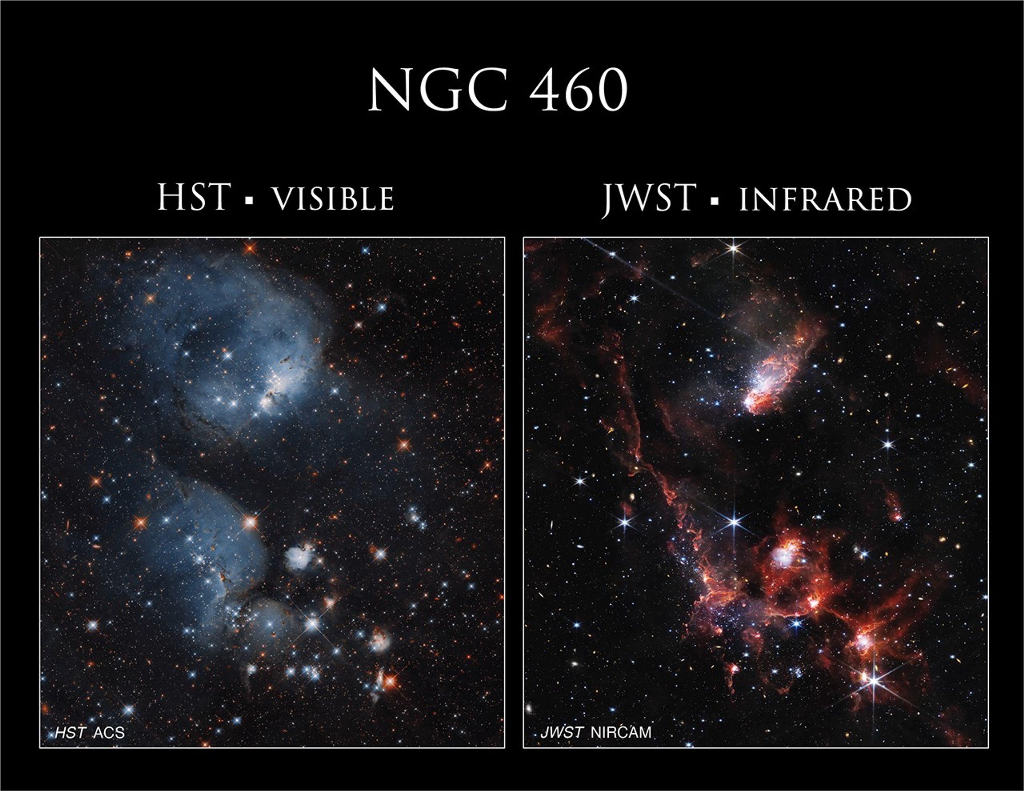 On the left is a Hubble image of NGC 460, showing bluish bubbles of gas and stars. On the right is a Webb telescope image of NGC 460, showing red filaments of dust and stars.